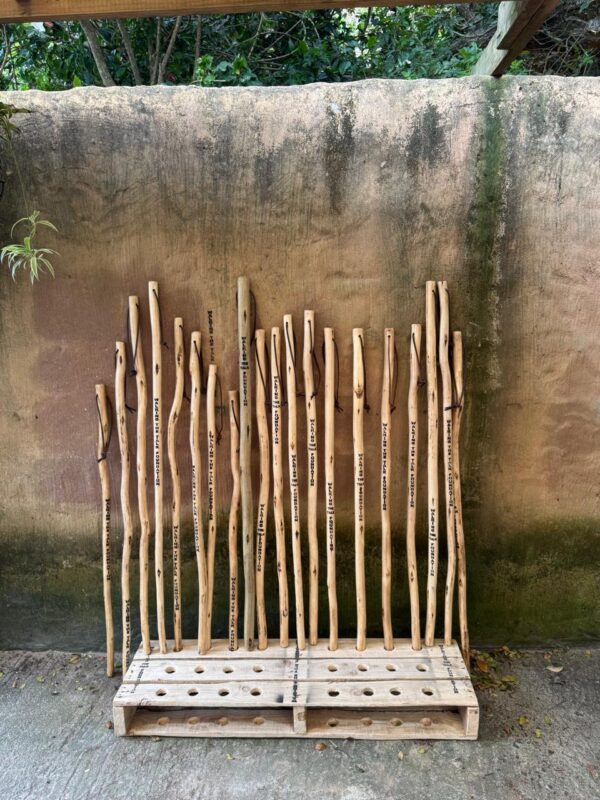 Walking Stick - Image 8
