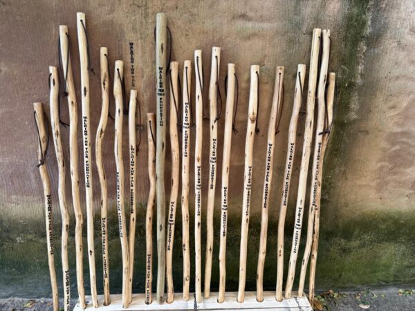 Walking Stick - Image 7