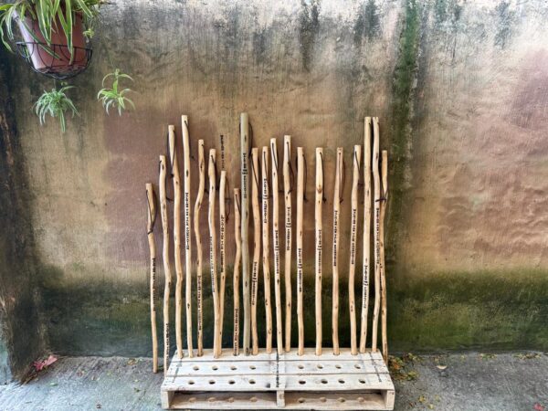 Walking Stick - Image 6