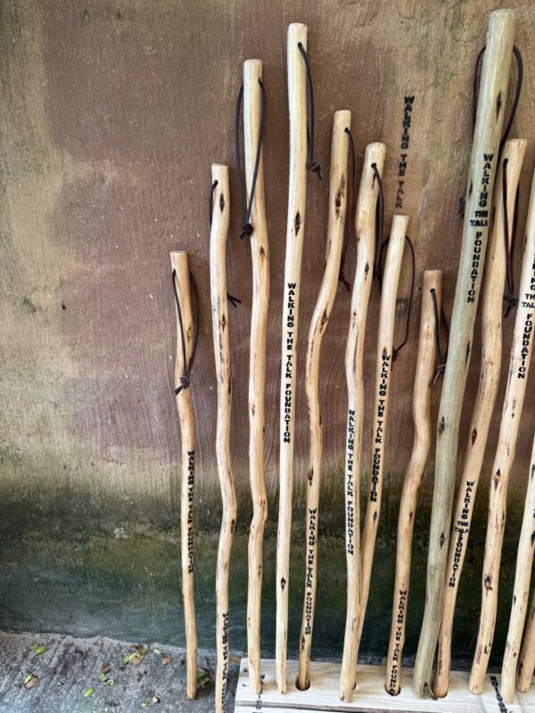 Walking Stick - Image 5