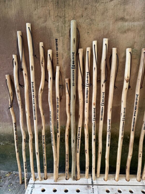 Walking Stick - Image 4