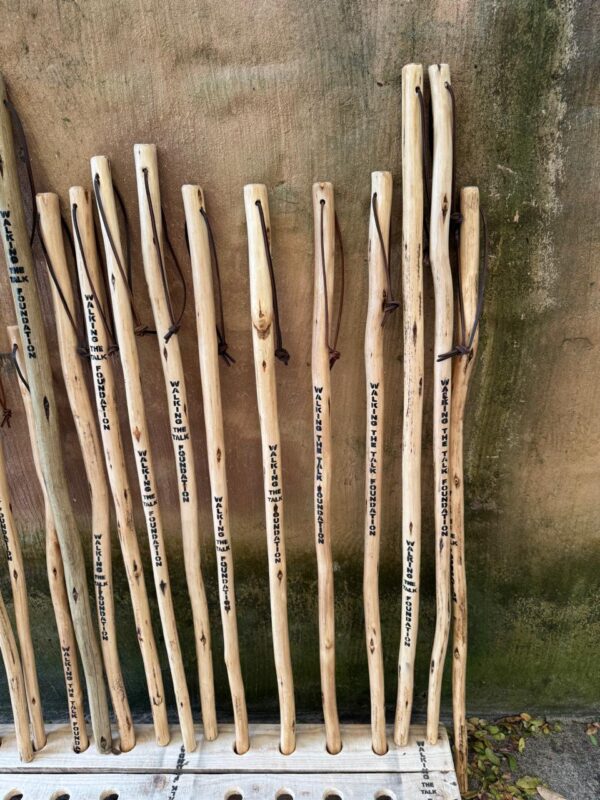 Walking Stick - Image 3
