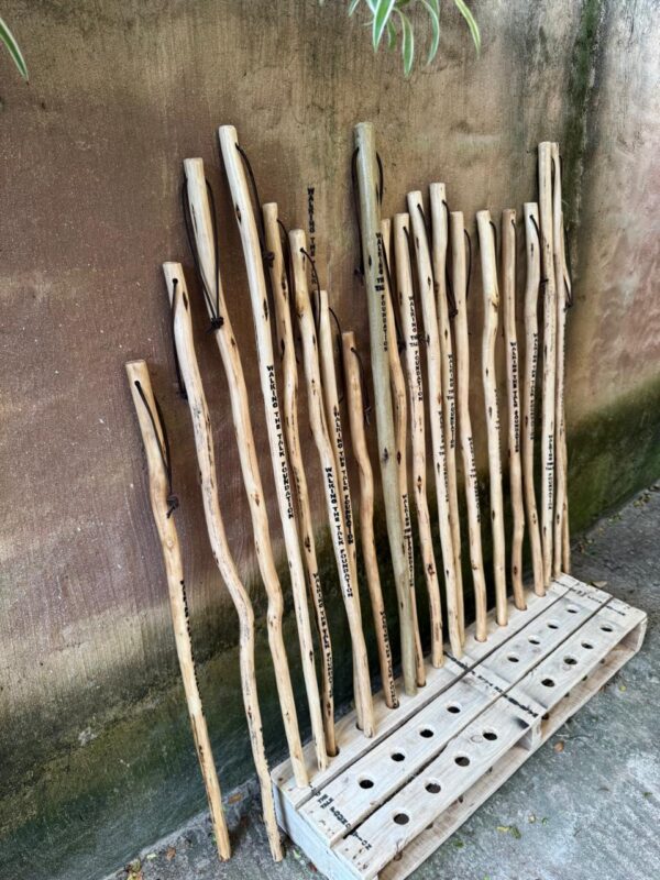 Walking Stick - Image 2