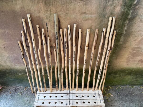 Walking Stick
