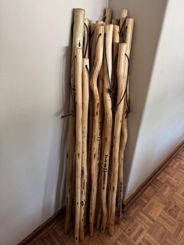 Walking Stick - Image 15