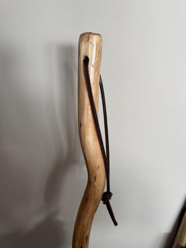 Walking Stick - Image 14