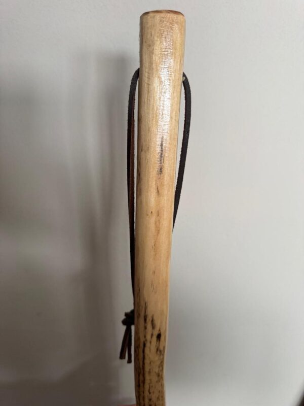 Walking Stick - Image 13