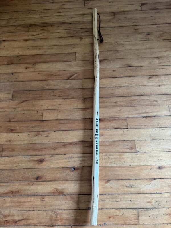 Walking Stick - Image 12